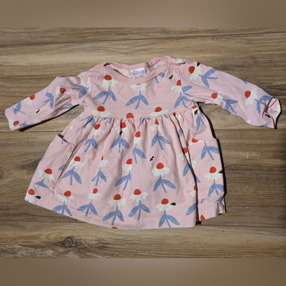 Hanna Andersson Pink and Blue Floral Kids Dress